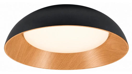 Matte Black Oak Ceiling Lamp-1_1792759224.png